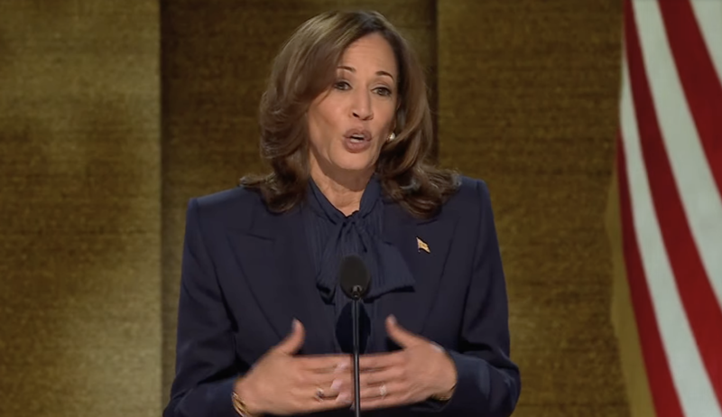 Border patrol faces subpoena threat for allegedly hiding Harris’ role as border czar