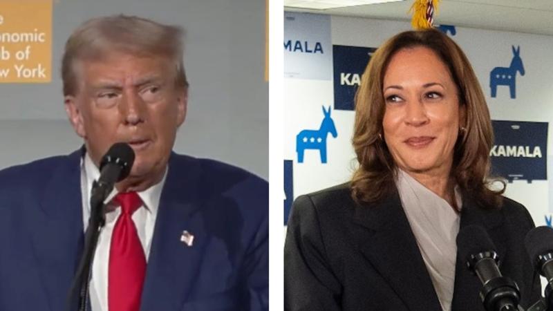 Poll: Trump, Harris in virtual dead heat in Georgia