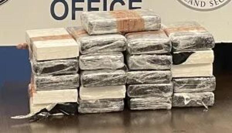 Cocaine busts galore at southern border, including from trusted traveler