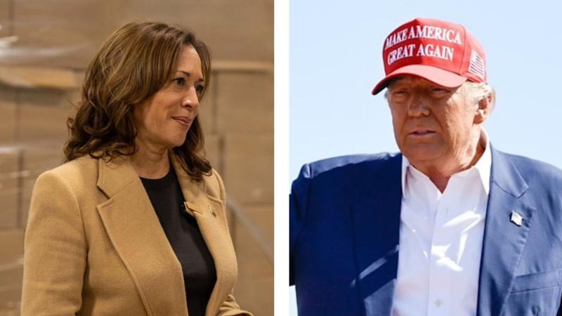 Poll: Trump captures 4% swing on Harris in North Carolina