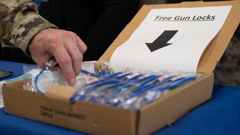 Veteran suicide prevention plan seeks free gun lockboxes