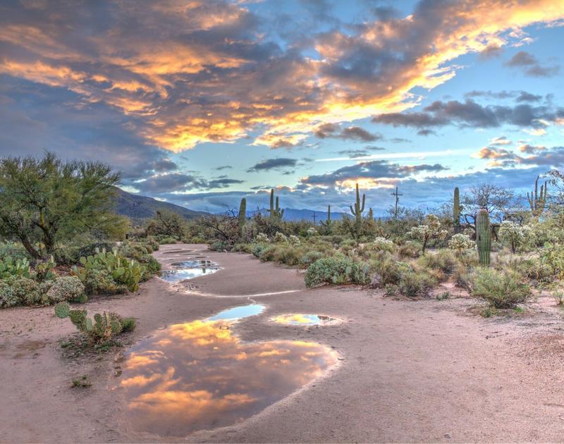 Two years after voters rejected it, Arizona starts process to install water panel in Willcox