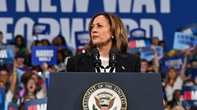 Harris concedes election to Trump, pledges to help him with transition