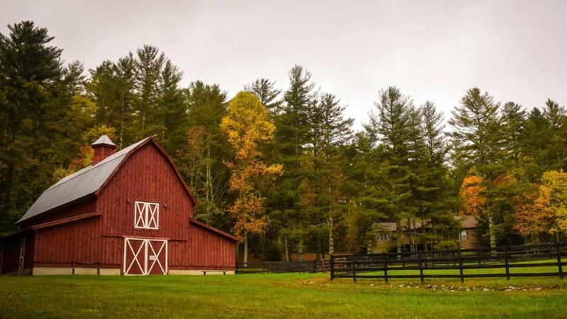 Report: Trumps victory helps farmers feel better about economy