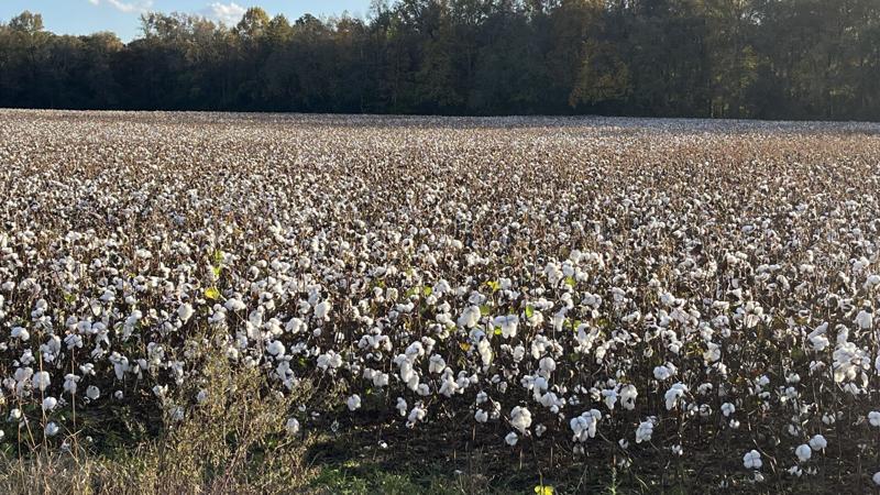 North Carolina agriculture leaders ready for Rollins