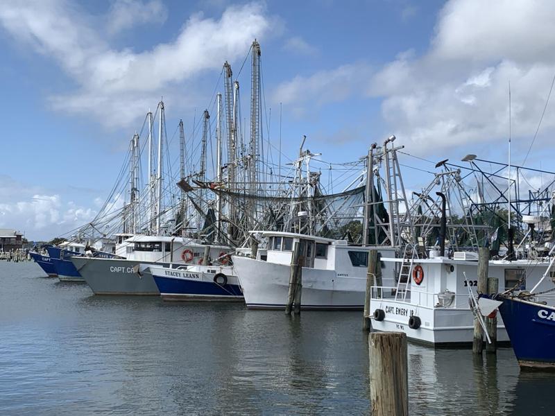 Tests find many eateries passing off imported shrimp as Gulf caught