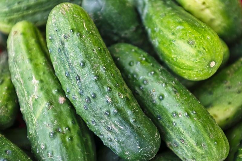 Major cucumber recall impacts American West