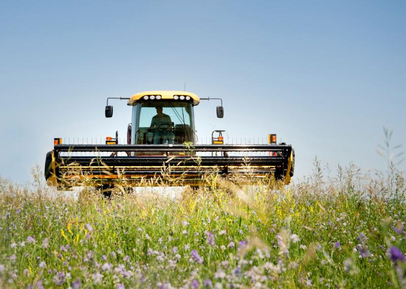 Saudi Arabian-backed alfalfa grower sued over water usage in Arizona