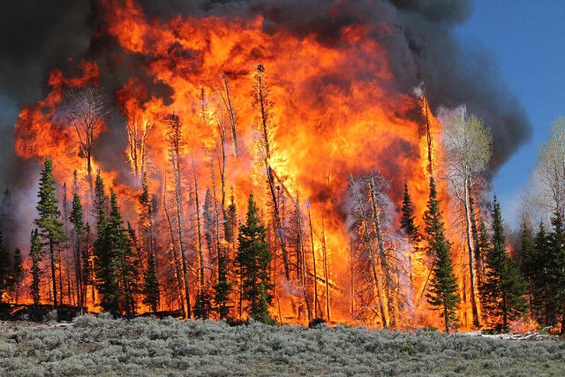 Congress advances wildfire reduction bill as CA blocks wildfire prevention funding