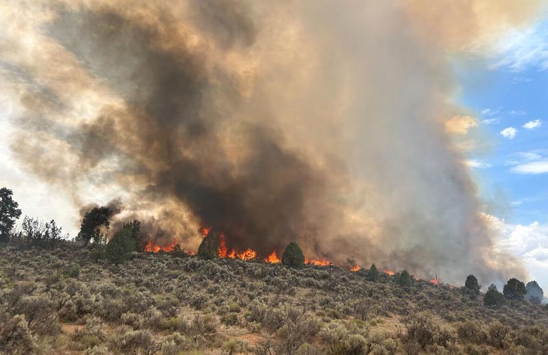 Arizona sends resources to battle California wildfires