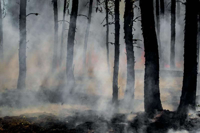 Windstorm triggers wildfires across Los Angeles while Mayor Bass in Africa