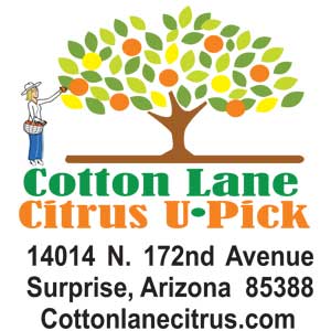 Cotton Lane Citrus