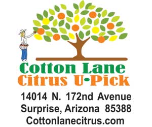 https://www.cottonlanecitrushoney.com/