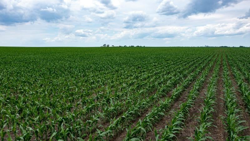 WATCH: IL Corn official testifies before US House committee on state of farming